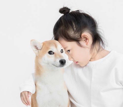 2026年狗宝宝女孩名字大全，有没有什么好听的推荐？