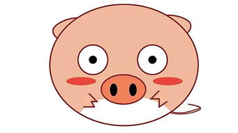 属猪的2025年71年佩戴饰物，意味着什么最佳婚姻相配？