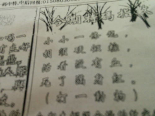 一箫风月猜生肖和刘伯温看图猜生肖分别代表哪个生肖？