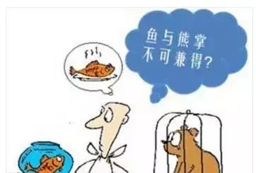 # 公共治理层面的盈利冲突（官员权力滥用）#