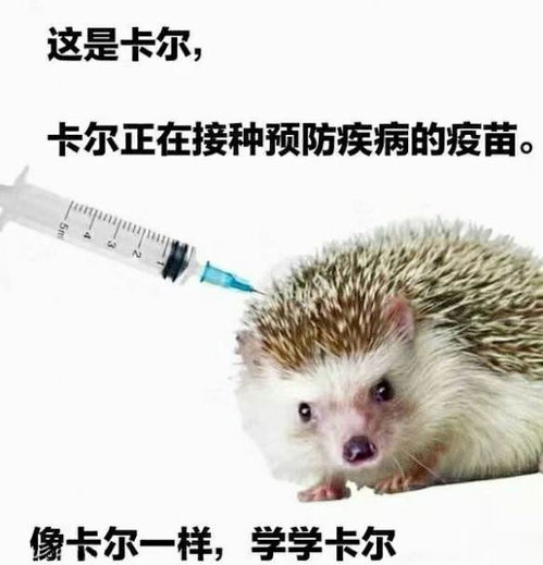 一、 阴影初现：内在恐慌与现实困境的交织