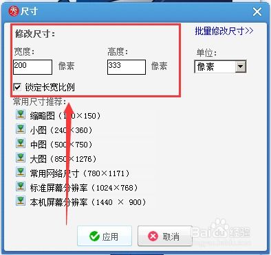 （二）尺寸与清晰度控制要点