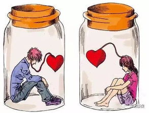 情蛊之操作原理及风险评估