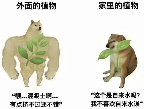 名字由58画组成，这样的名字是吉祥还是不吉利呢？