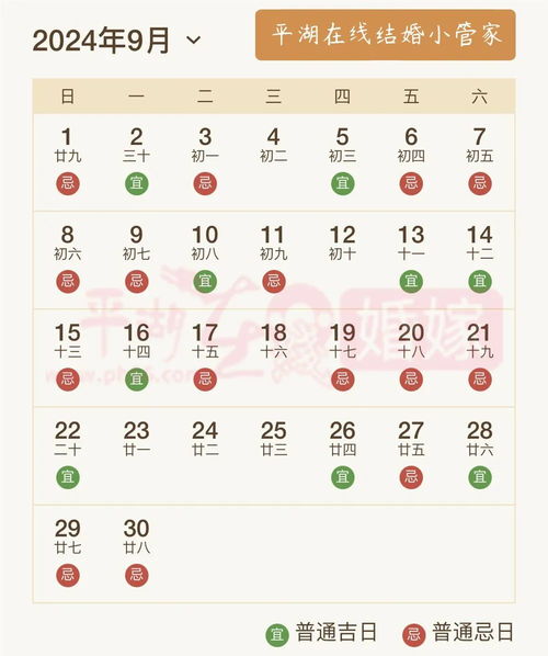 2.1 农历乙巳年的特殊性