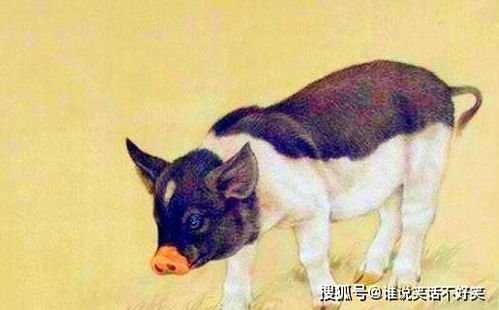 三、 人际关系对运势增益的结构化阐释