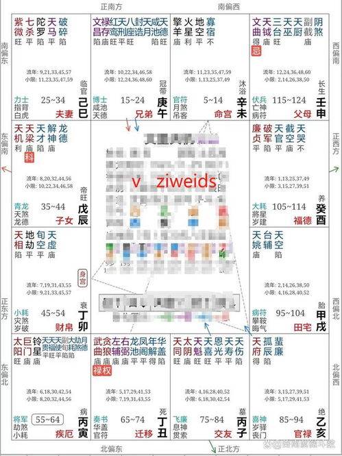 三、 思想病症：从占位到症状映射的理论路径