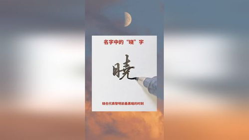 系列：光明磊落的大智慧