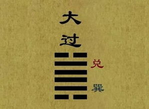 1) 初六——“飞鸟以凶”