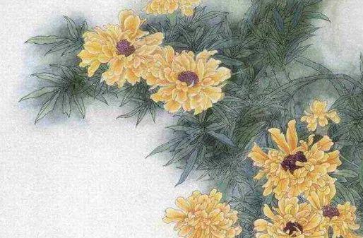 称骨算命四两六翻译，称骨四两二很差吗？这是否意味着命运不佳？