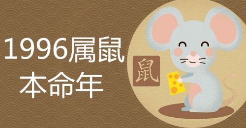 属鼠人性格特点与店铺命理