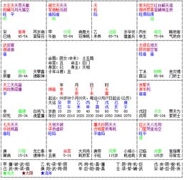 ：紫微斗数在面试日运势分析中的理论价值
