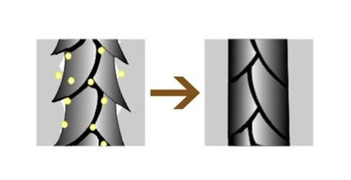涤垢洗瑕是何生肖？