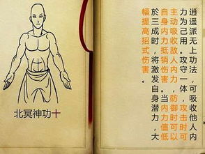 网上搜来的（复制粘贴大法好！）