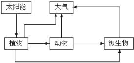 总部选址与山环水抱原则