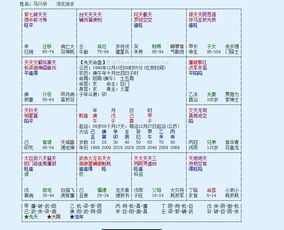3．夫妇宫有天梁星——体态与气场描述