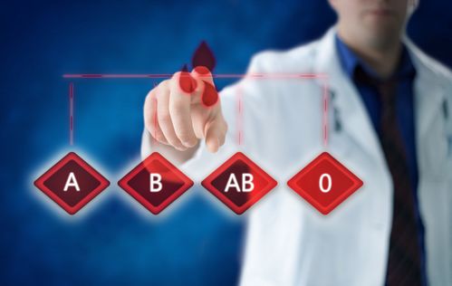 日本学术界提出的假设框架