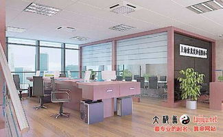 三、 命名在实际应用中的语言技巧及结构优化提议