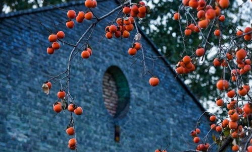 二、 案件背景：冰寒冷的证据材料与无尽的困境