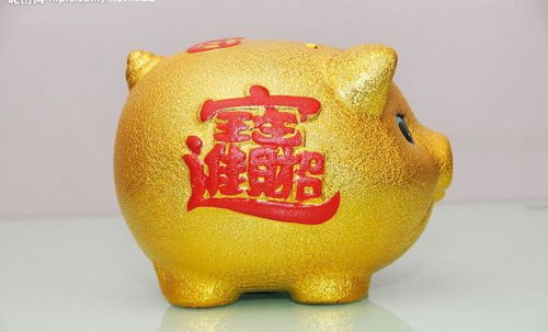 第一章 持续发展路径中的关键转折点