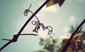 女性八字中烂桃花的表现有哪些？如何避免八字中的烂桃花？