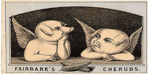 1983年属猪人的每日运势具体如何？运势详解是什么意思？