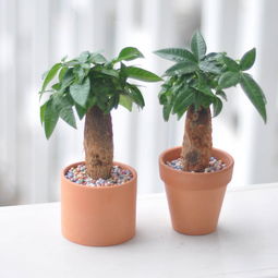 1. 财位选择原则