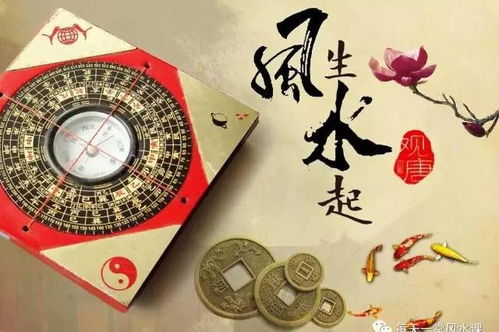 易玄道人精论风水，其风水理论有何玄妙之处？