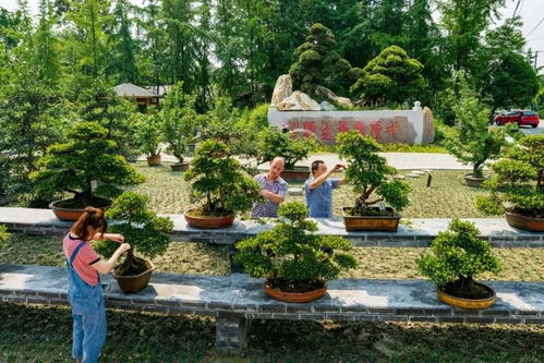 环境要素：光照与通风的重要性