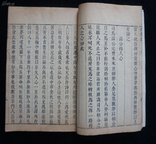 三、关于子嗣存在性的史料评估