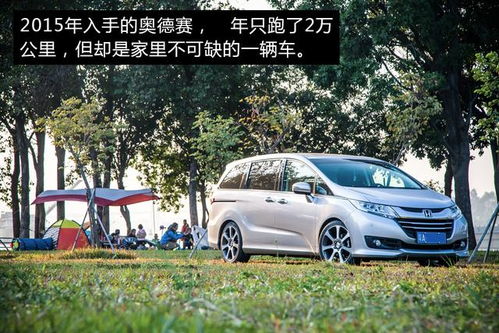 11月上旬：壬寅日与癸卯日的吉凶辨析