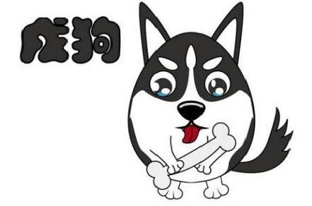 2026龙年属狗人的财运会如何变化？