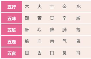 二、 五行属性与冲煞方位之解析