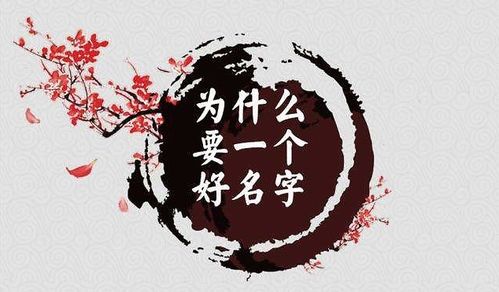 2026年徐姓虎年宝宝起名，有没有什么神器推荐？