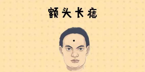 心理学解读：自信、 领导力与事业心的体现