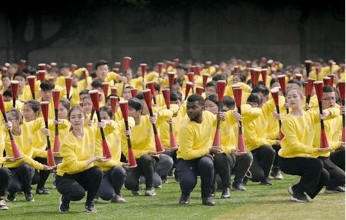 民族分布与文化底蕴属性