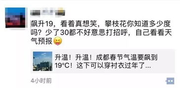 ：文化底蕴隐喻与命理困境の交响共鸣