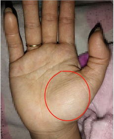 ：相面之术与人体纹饰的文化渊源