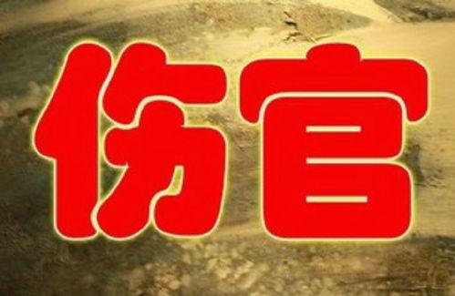 八字中食伤和官杀分别代表什么，它们在命理中是子还是官杀，食伤官杀的含义是什么？