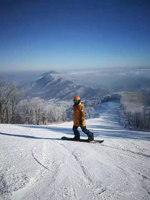 先说说那个「雪峰凌云」吧到底戳中谁了
