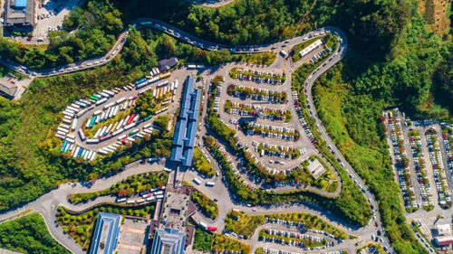 ③ 湖北黄鹤楼极速1日游——效率魔法+热干面狂欢