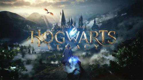 我踩过的坑（血泪教训）