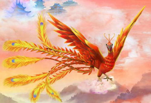 哪些八字属于朱雀命局？