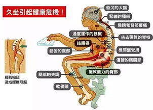 一、 前庭在传统方式风水体系中的定位与功能意义