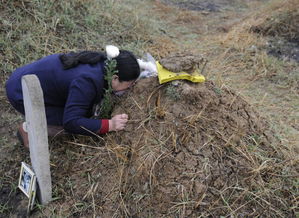 女人梦见在陌生人坟前磕头是什么预兆？