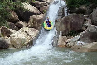 坑爹套餐大起底