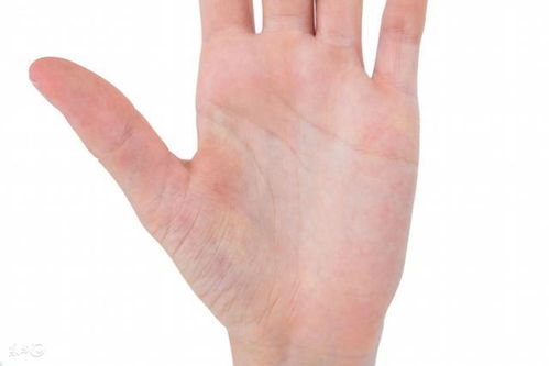 川字掌的特征与女性性格剖析