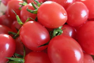 西红柿大甩卖！两块钱随便挑