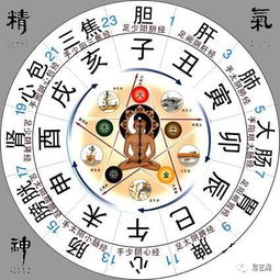 二、  命运轨迹的阶段性演变：从蛰伏到荣显