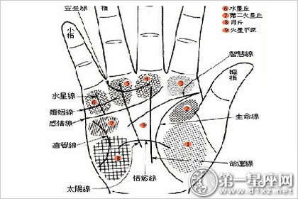 ：掌纹学的历史渊源与现代意义